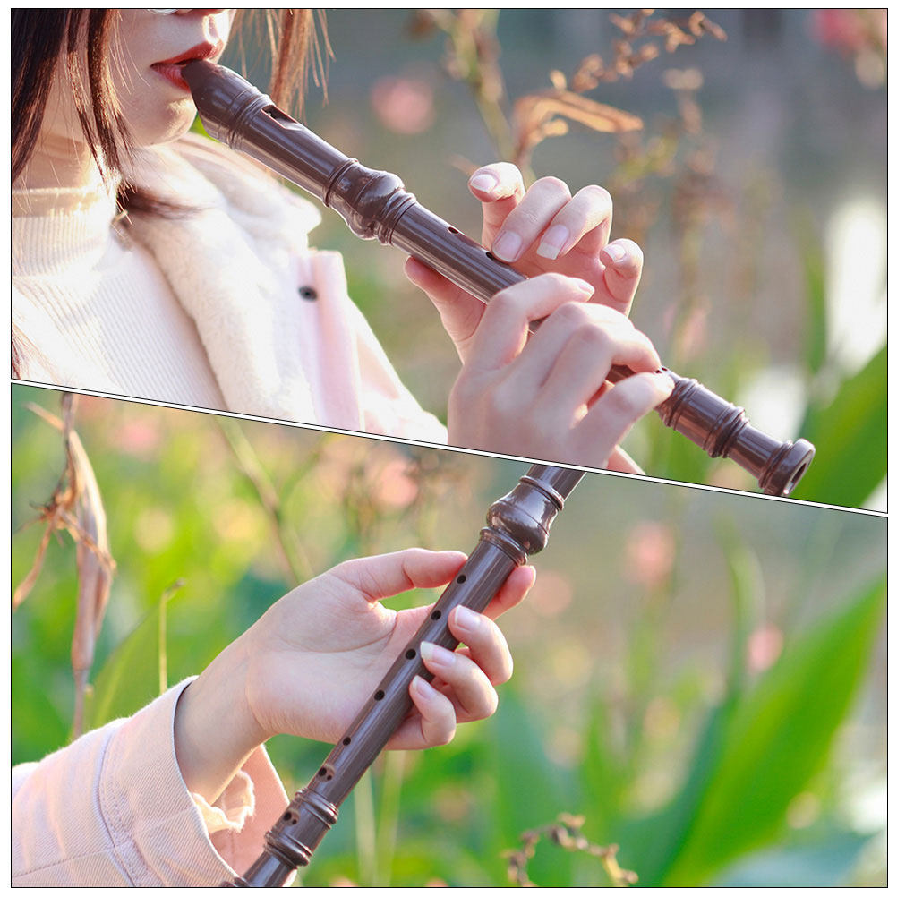 Flauta de registro soprano con - Soprano Recorder Plastic reseña y precio